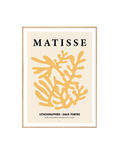Matisse Lithographies
