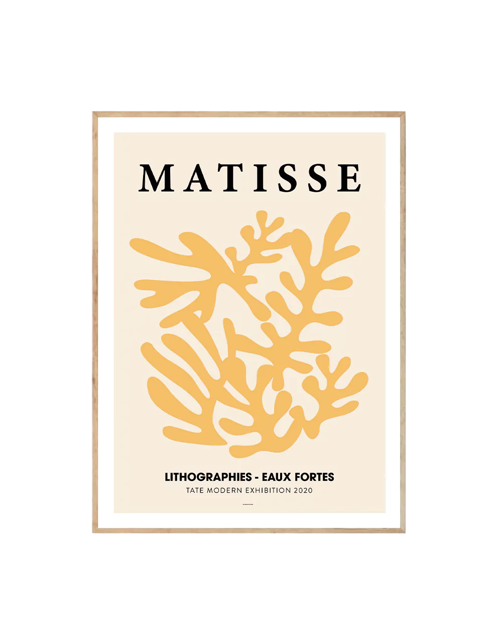 Matisse Lithographies